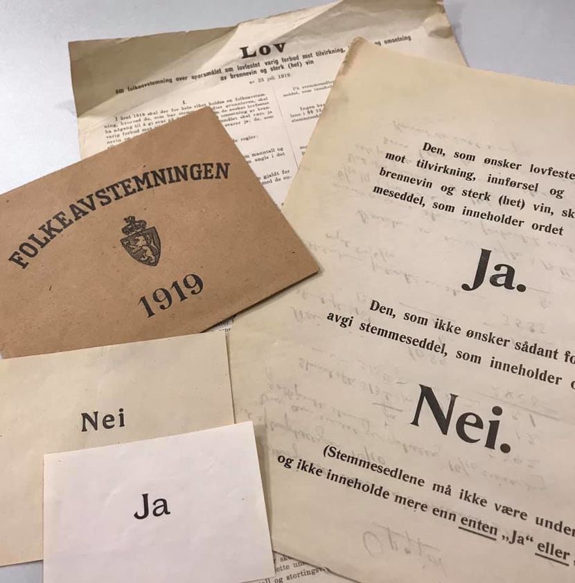 Hundre år siden folkeavstemningen i 1919